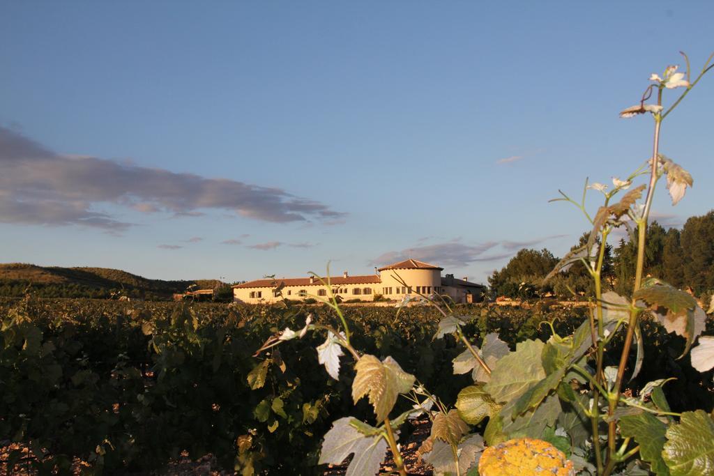 Hotel Enoturismo Mainetes Fuente-Álamo Exterior foto